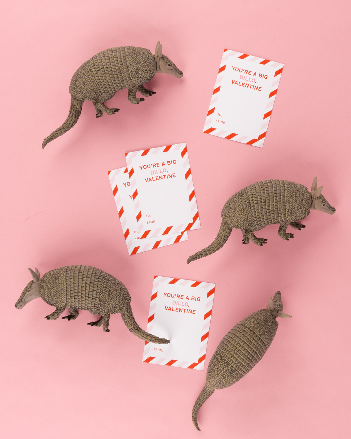 You're a Big Dillo, Valentine! | Set of 4 Class Valentines