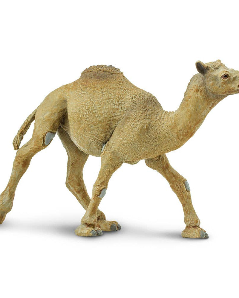 Dromedary Camel Figure